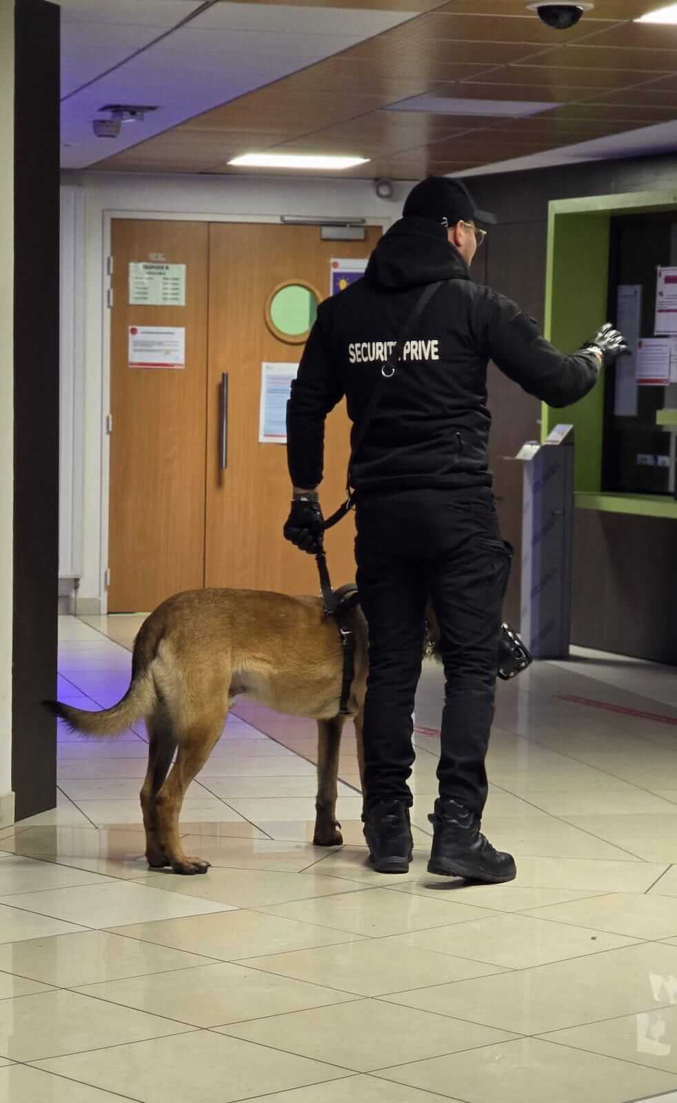 Agents cynophiles à Portet-sur-Garonne – Surveillance de nuit et gardiennage sécurisé - SG Sécurité